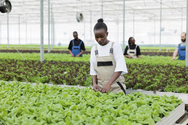 Quelles méthodes biologiques utiliser pour lutter contre les nuisibles en jardin urbain ?